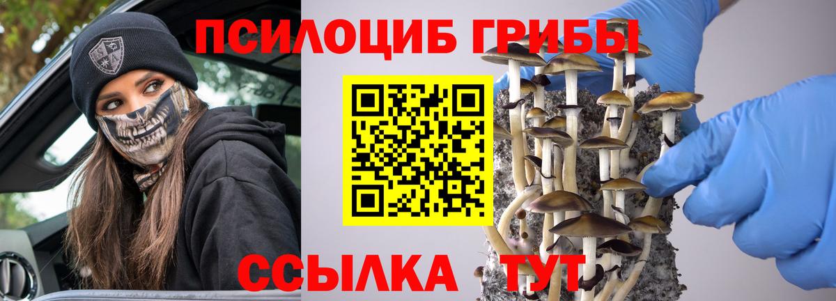 Шали  сколько стоит  Галлюциногенные грибы Psilocybine cubensis  Вход с VPN  Псилоцибиновые грибы прущие грибы 